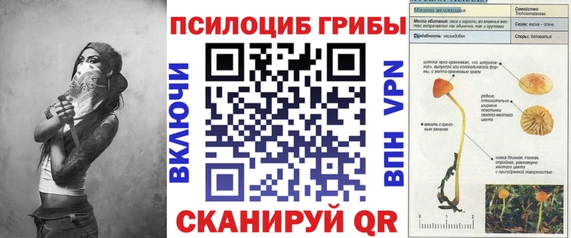 Псилоцибиновые грибы Psilocybe  ссылка на мегу   Иннополис  сколько стоит 